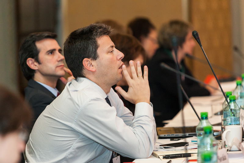 ERGP Workshop, Bucharest 2014