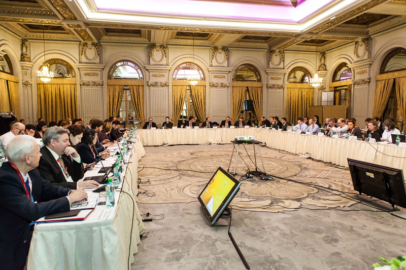 ERGP Plenary Meeting, Bucharest 2014