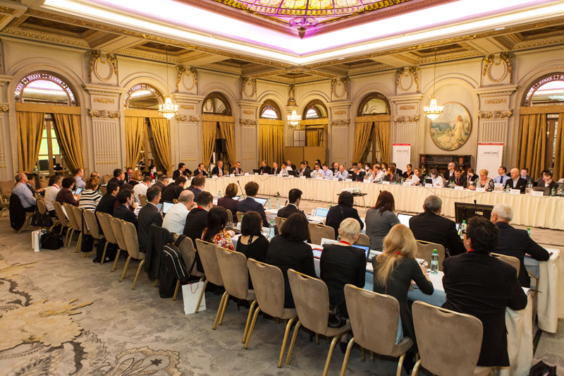 ERGP Plenary Meeting, Bucharest 2014