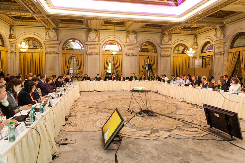 ERGP Plenary Meeting, Bucharest 2014