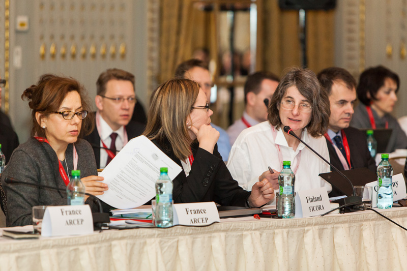 ERGP Plenary Meeting, Bucharest 2014